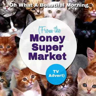 Oh What A Beautiful Morning (From The Money Supermarket TV Advert) - Single by Howard Keel