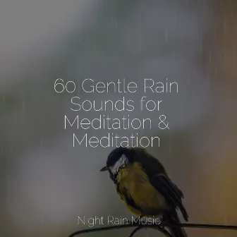 60 Gentle Rain Sounds for Meditation & Meditation by Thunder and Rain Storm