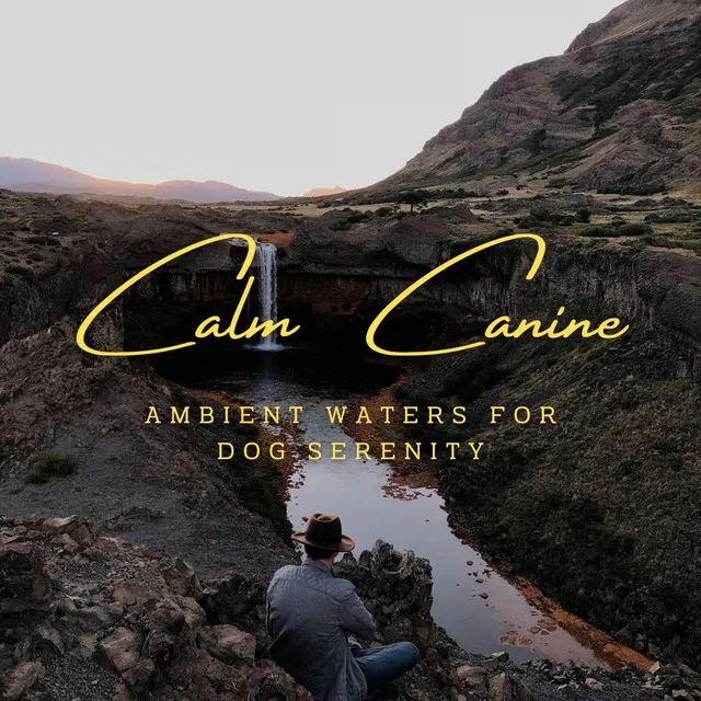 Aquatic Canine Calm: Ambient Waters for Dog Serenity