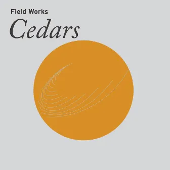 Cedars by Field Works