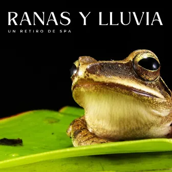 Ranas Y Lluvia: Un Retiro De Spa by Los mejores sonidos de la naturaleza