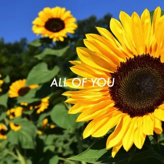 All of You by Benjamin