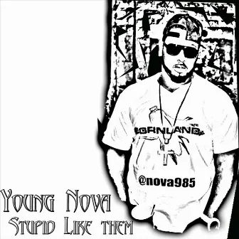 Stupid Like Them by Young Nova