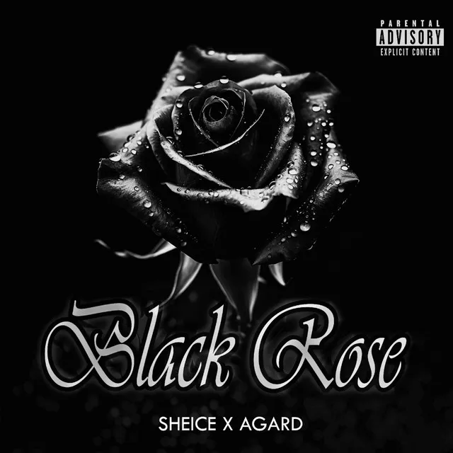 Black Rose