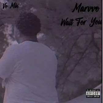 Wait For You (Vo Mix) by Marvvo