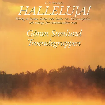 Halleluja! by Musikhögskolans Kammarkör Piteå