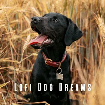 Lofi Dog Dreams: Tranquil Soundtracks for Rest by Songs for Dogs to Sleep To