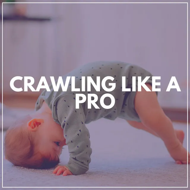 Crawling Like a Pro