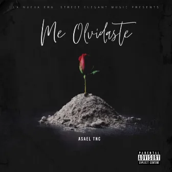 Me Olvidaste (Asael TNC) by LA Nueva Era Street Elegan Music