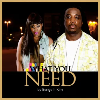 What You Need (Remix) by Benge