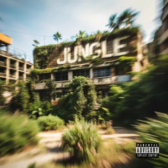 Jungle by Kairos