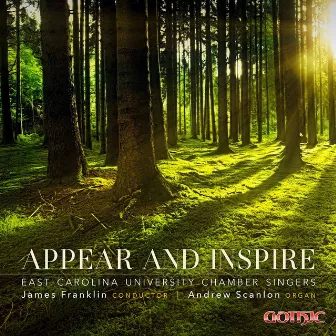 Appear and Inspire by Andrew Scanlon