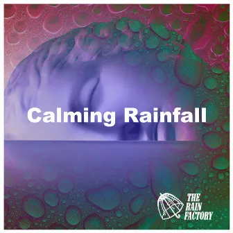 Calming Rainfall by The Rain Factory