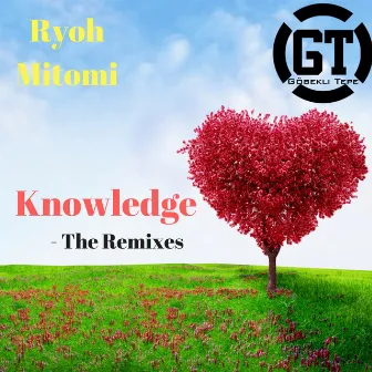 Knowledge (The Remixes) by Ryoh Mitomi