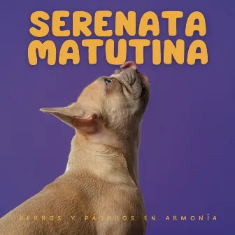 Serenata Matutina: Perros Y Pájaros En Armonía by Pájaros del oeste