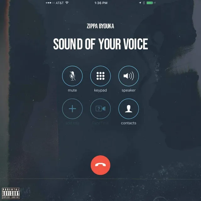 Sound Of Your Voice