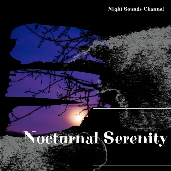 Nocturnal Serenity: Tranquil Nightscapes by Dr.Sleep