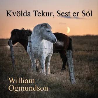 Kvölda Tekur, Sest Er Sól by Traditional Music