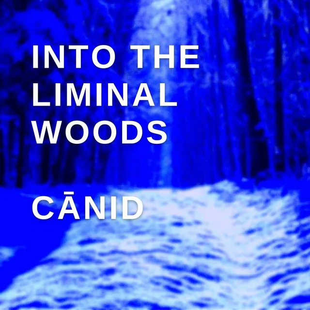 Into the Liminal Woods