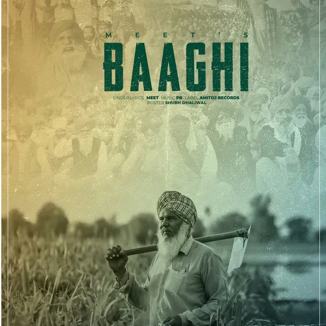 BAAGHI