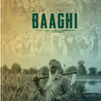 BAAGHI by MEET