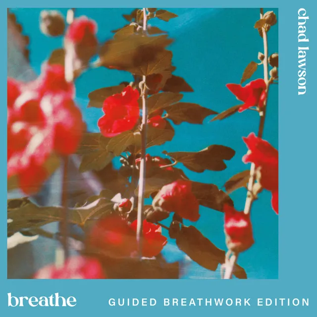 intro - guided breathwork