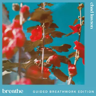 breathe (guided breathwork edition) by Chad Lawson