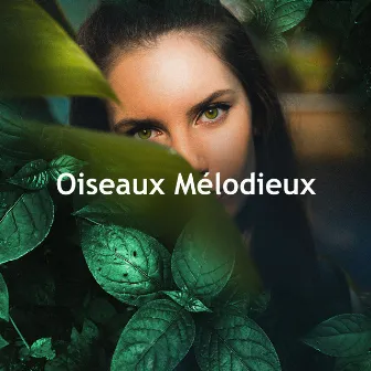 Oiseaux Mélodieux by Oasis de Musique Nature Relaxante