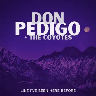 Like I've Been Here Before by Don Pedigo & The Coyotes