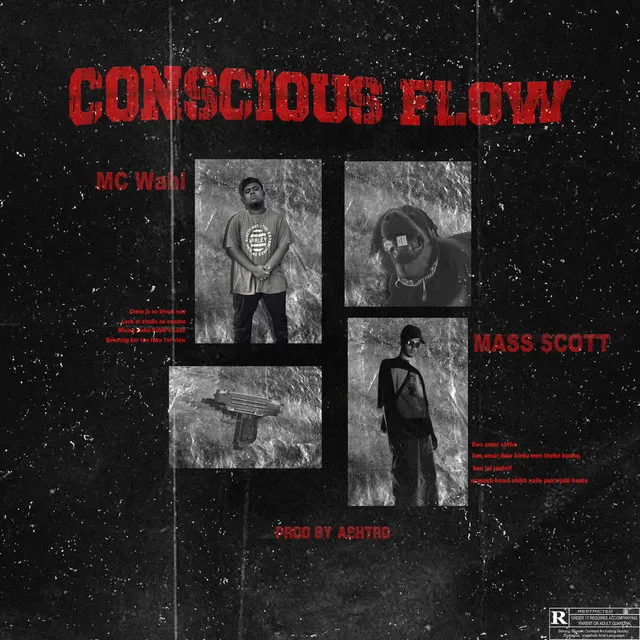 Conscious Flow