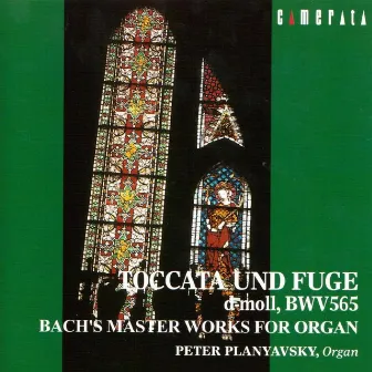 Bach: Toccata und Fuge by Peter Planyavsky