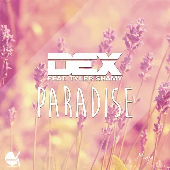 Paradise (feat. Tyler Shamy) by Dex