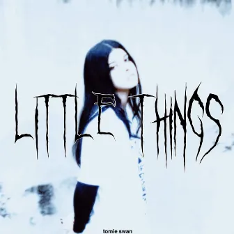 Little Things by Tomie Swan