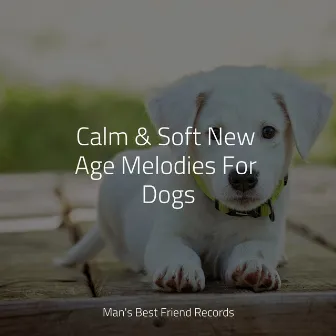 Calm & Soft New Age Melodies For Dogs by Deep Sleep