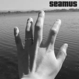 Seamus by Seamus