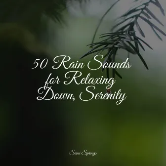 50 Rain Sounds for Relaxing Down, Serenity by Master Meditação