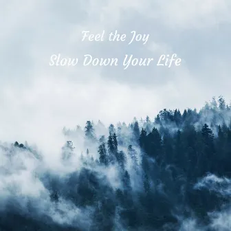 Slow Down Your Life by Feel the Joy