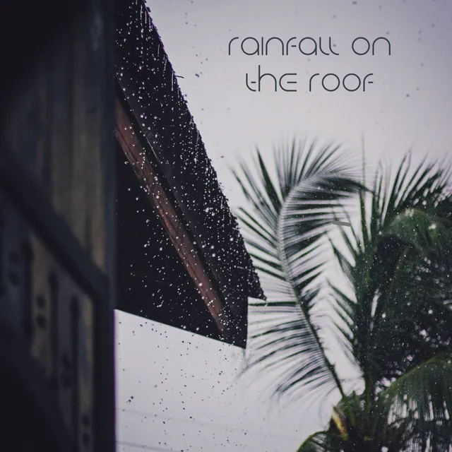 Rainfall On The Roof, Pt. 17