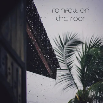 Rainfall On The Roof by Noise Academy