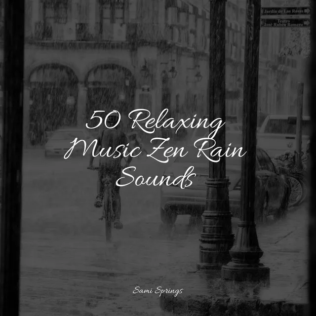 50 Relaxing Music Zen Rain Sounds