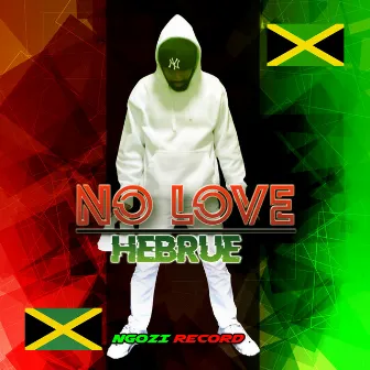 No Love by Hebrue