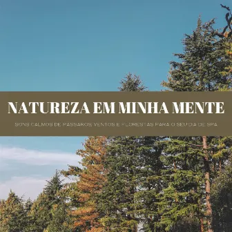 Natureza Em Minha Mente: Sons Calmos De Pássaros, Ventos E Florestas Para O Seu Dia De Spa by Música de Relaxamento No Spa