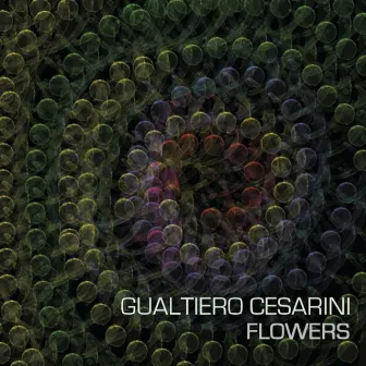 Flowers by Gualtiero Cesarini