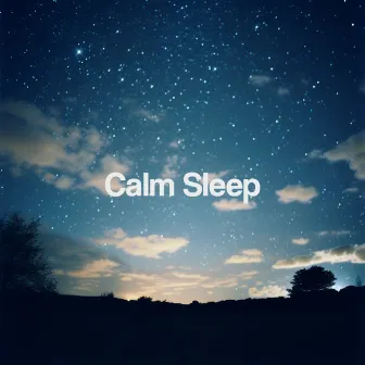 Calm Sleep by Unknown Artist