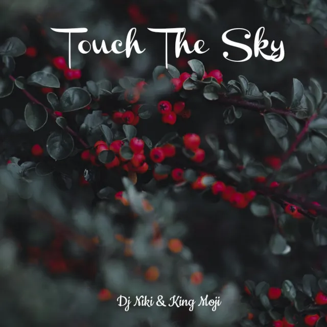 Touch The Sky (Remix)