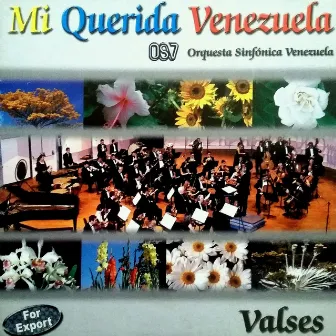 Mi Querida Venezuela (Valses) by Orquesta Sinfónica Venezuela