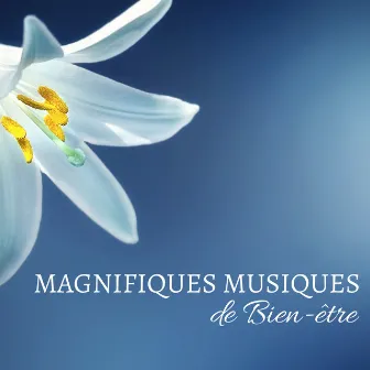 Magnifiques Musiques de Bien-être - La plus belle musique douce du monde by Maison Detente