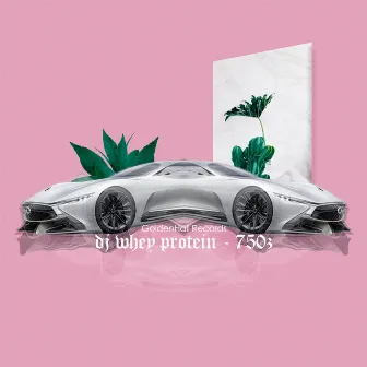 750Z by DJ Whey Protein