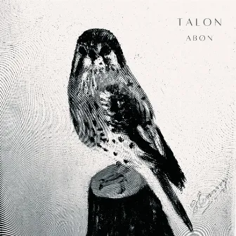 Talon by Abøn