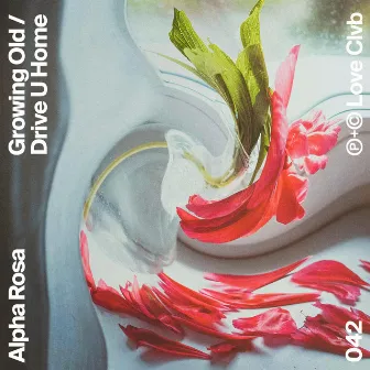 Growing Old / Drive U Home by Alpha Rosa